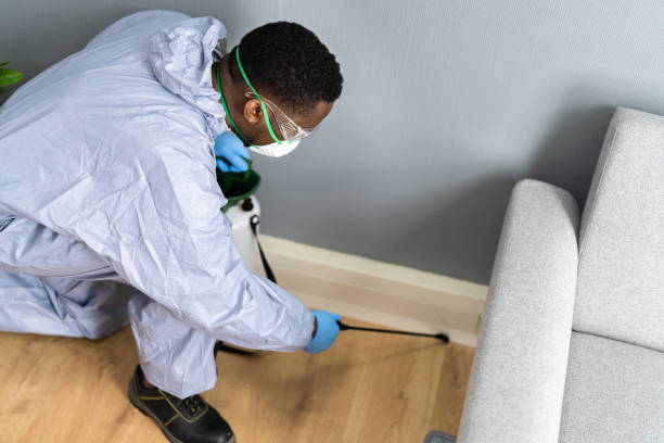 Best Termite Inspection and Treatment  in Goulds, FL